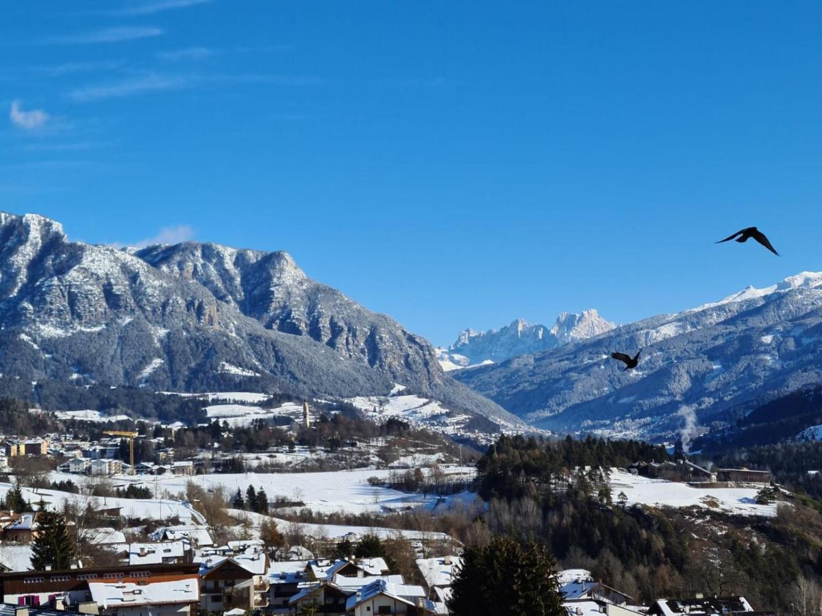 Terrazza Sulle Dolomiti Leilighet Castello-Molina di Fiemme Eksteriør bilde